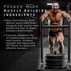 MuscleTech Mass Tech Extreme 2000 - 6.6 Lbs