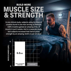 Muscletech Essential Glutamine 250 Gms - 50 Servings