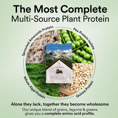 Wellbeing Nutrition Organic Vegan Plant Protein -500 Grm