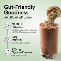 Wellbeing Nutrition Organic Vegan Plant Protein -500 Grm