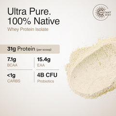 Wellbeing Nutrition Whey Protein Isolate 1kg| 31g Protein