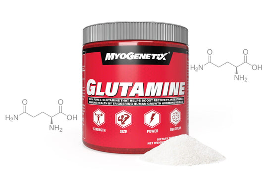 Myogenetix Glutamine Powder - 60 Servings