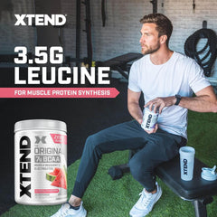 Scivation Xtend Original BCAAs Powder- 30 Servings