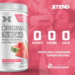 Scivation Xtend Original BCAAs Powder- 30 Servings